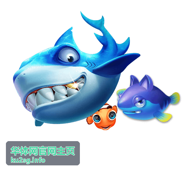 体育数据报告